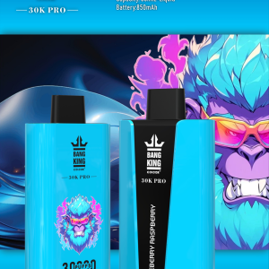 BK 30K Puffs Smart Full Screen Turn Ice Wholesale Disposable Vape Puff 30k Prefilled Pod