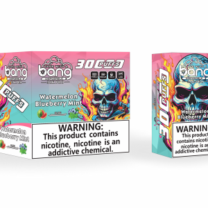 BangKing 30K Puffs Smart Full Screen Turn Ice Wholesale Disposable Vape Puff 30k Prefilled Pod