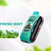 ANU Vista 30000 Disposable Vape | 26ml